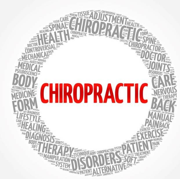 spine chiropractor